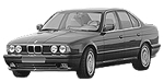 BMW E34 P0665 Fault Code