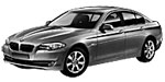 BMW F10 P0665 Fault Code